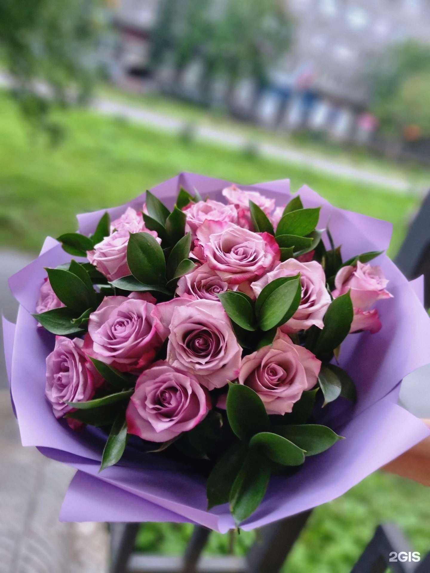 Отзывы на компанию Кактус в Кандалакше c фото