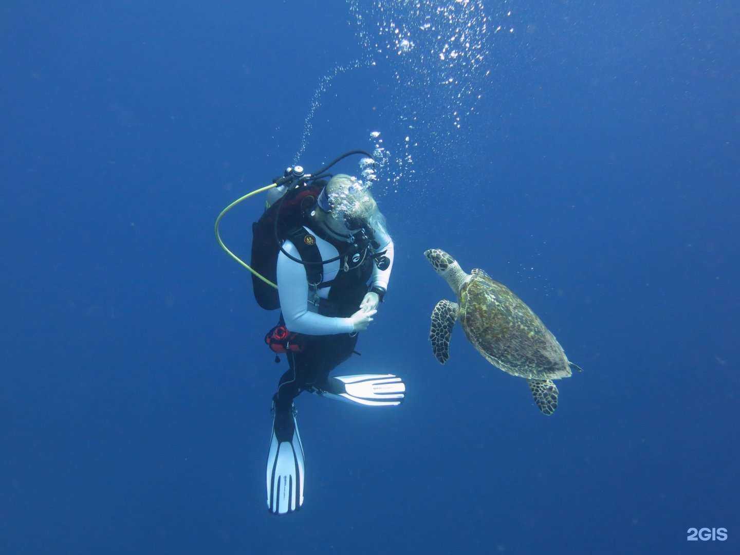 Отзывы на компанию Твоя стихия в Тюмени c фото