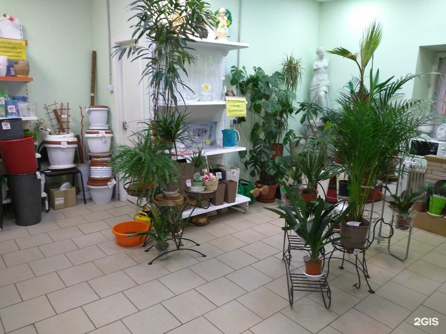 Отзывы на компанию Цветофор в г. Сыктывкар c фото