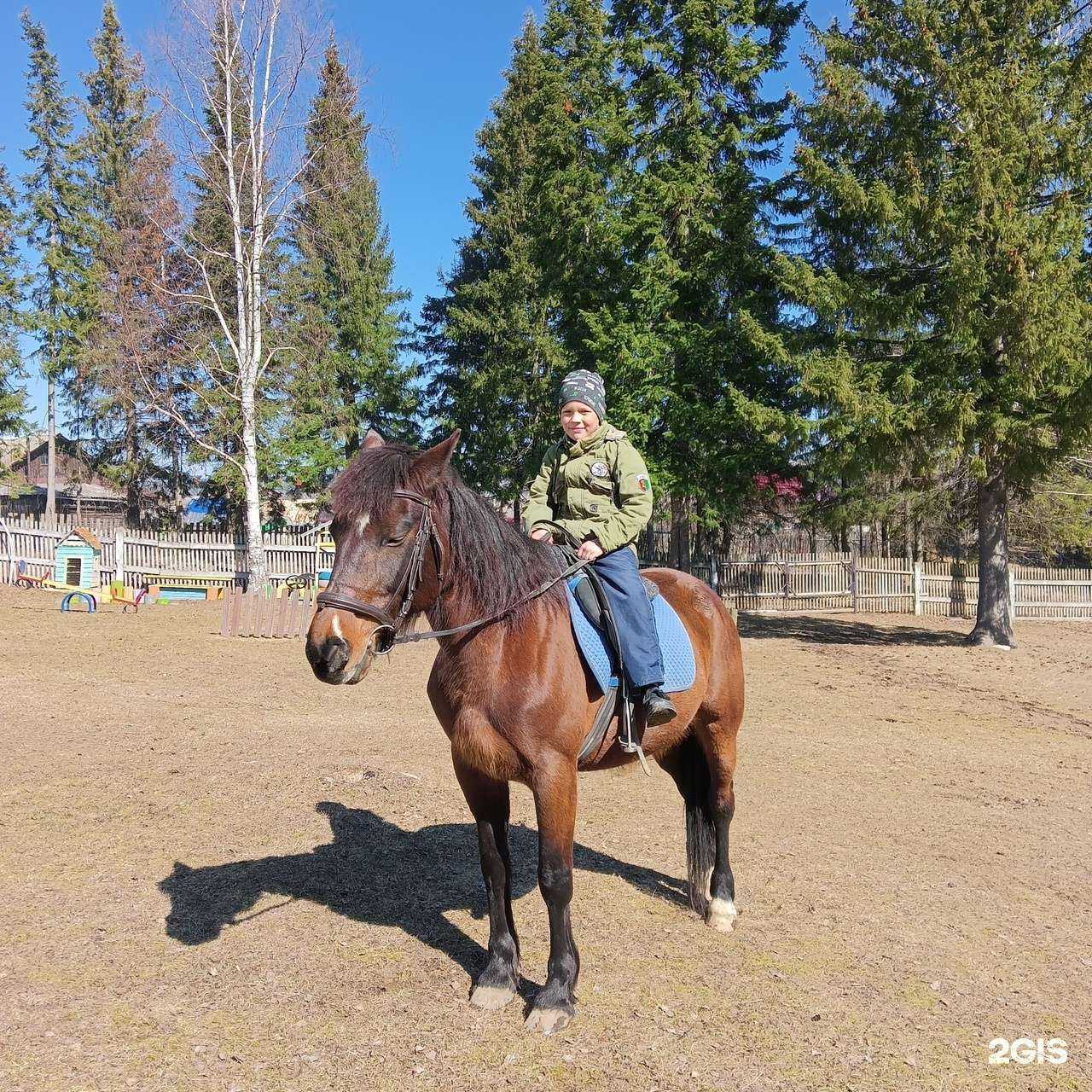 Отзывы на компанию Атаман в г. Чусовой c фото
