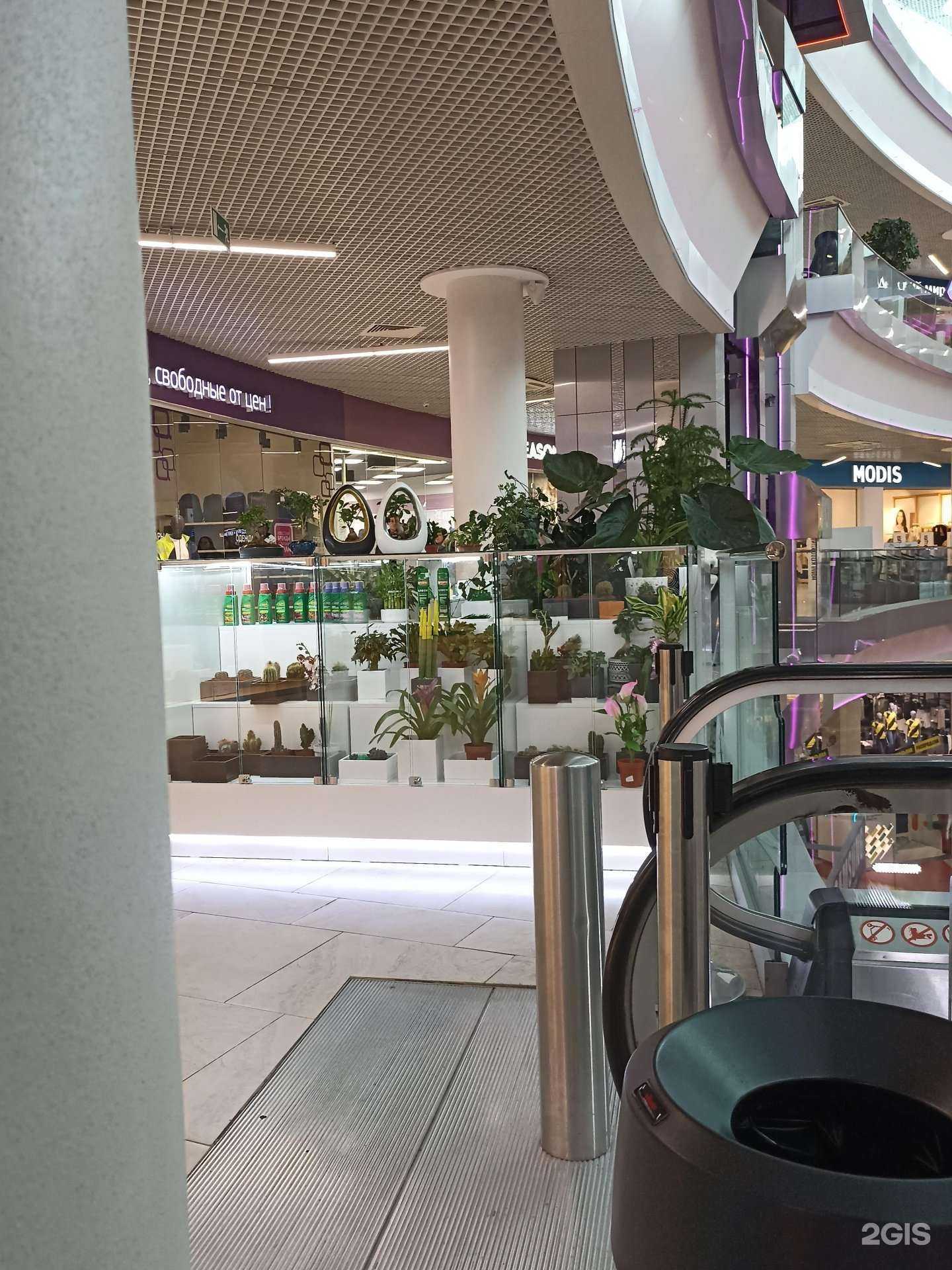 Отзывы на компанию Азалия в Архангельске c фото