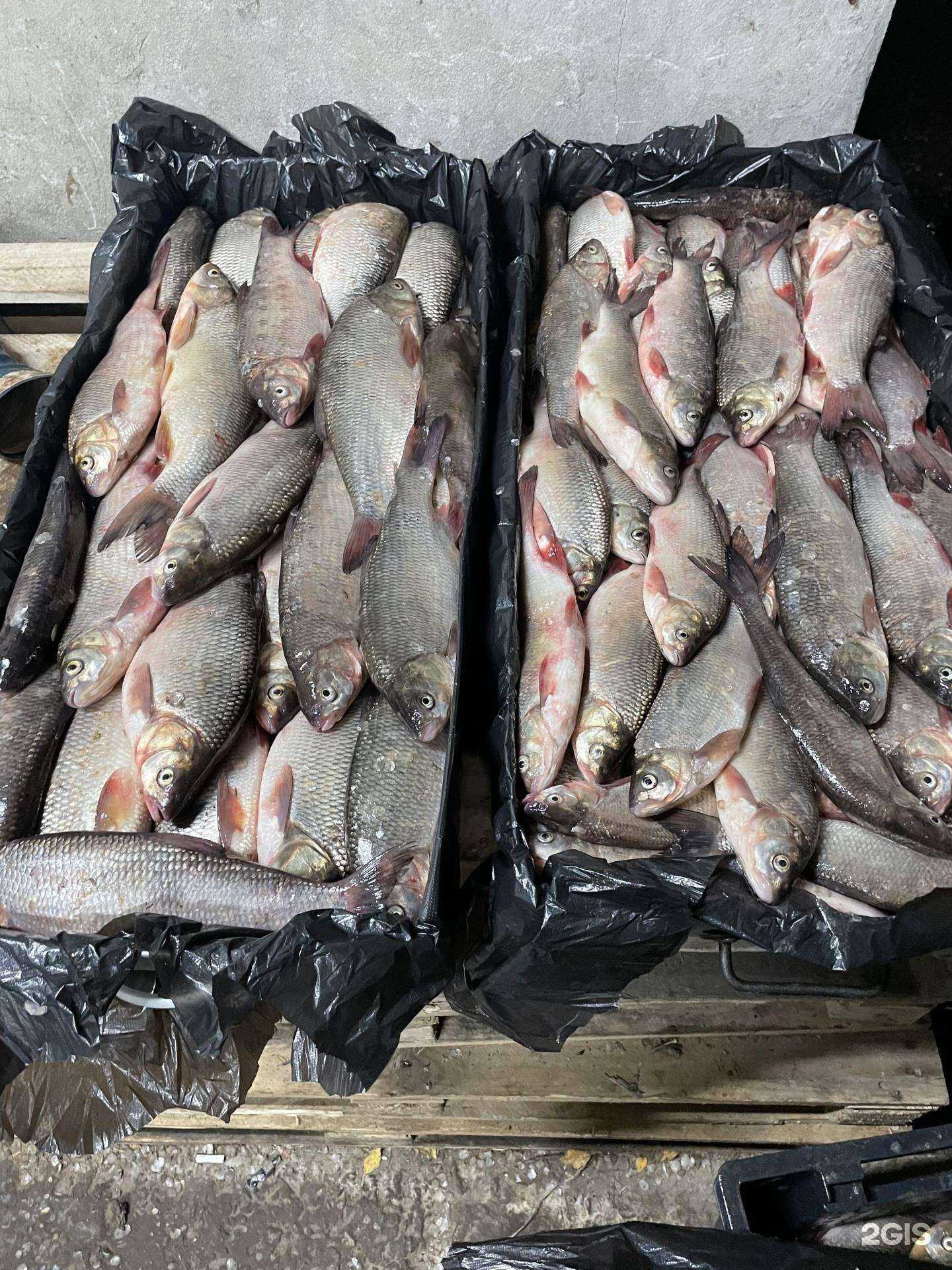 Отзывы на компанию ЮграРыбПром в г. Сургут c фото