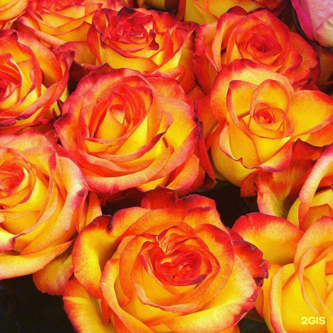 Отзывы на компанию Цветочный магазин в Балашихе c фото