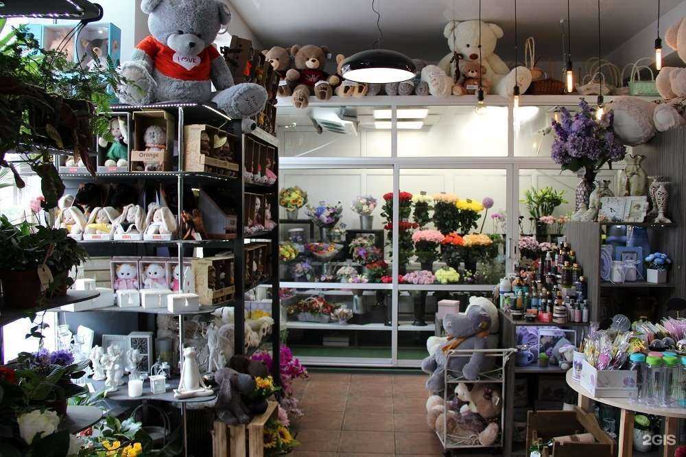 Отзывы на компанию Оазис в г. Белгород c фото