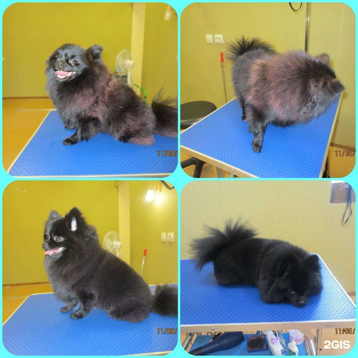 Отзывы на компанию Джерри в г. Кемерово c фото