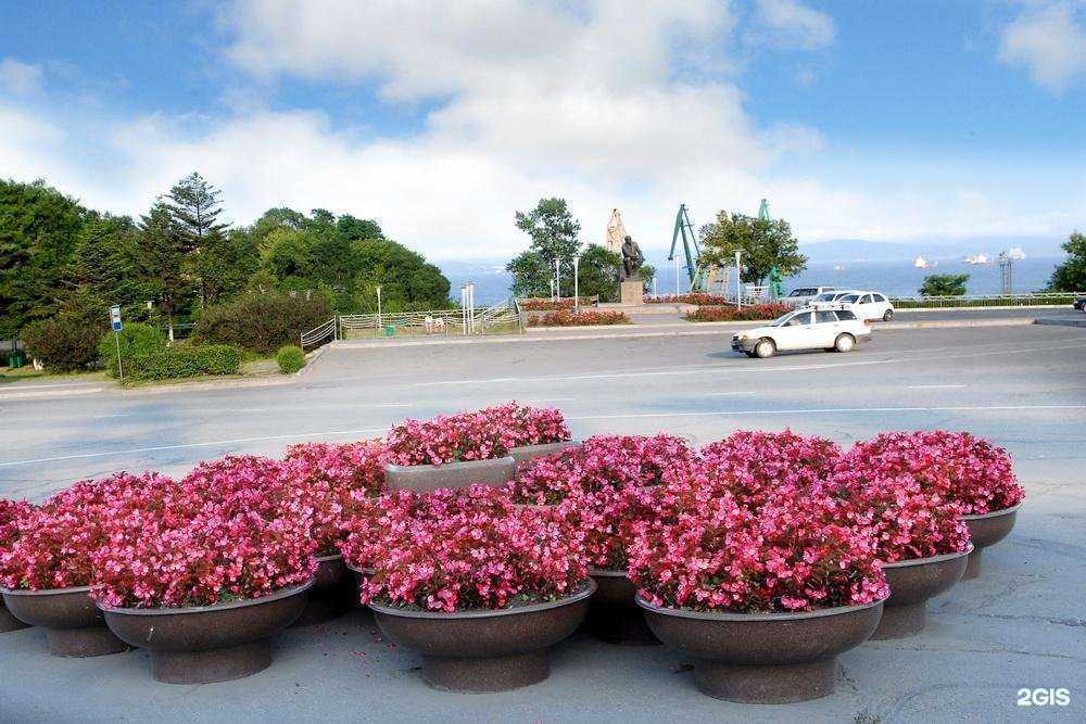 Отзывы на компанию Эхеверия в Находке c фото