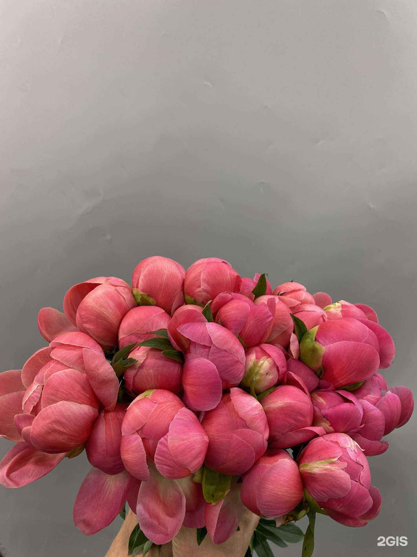 Отзывы на компанию Еврофлора в Воронеже c фото