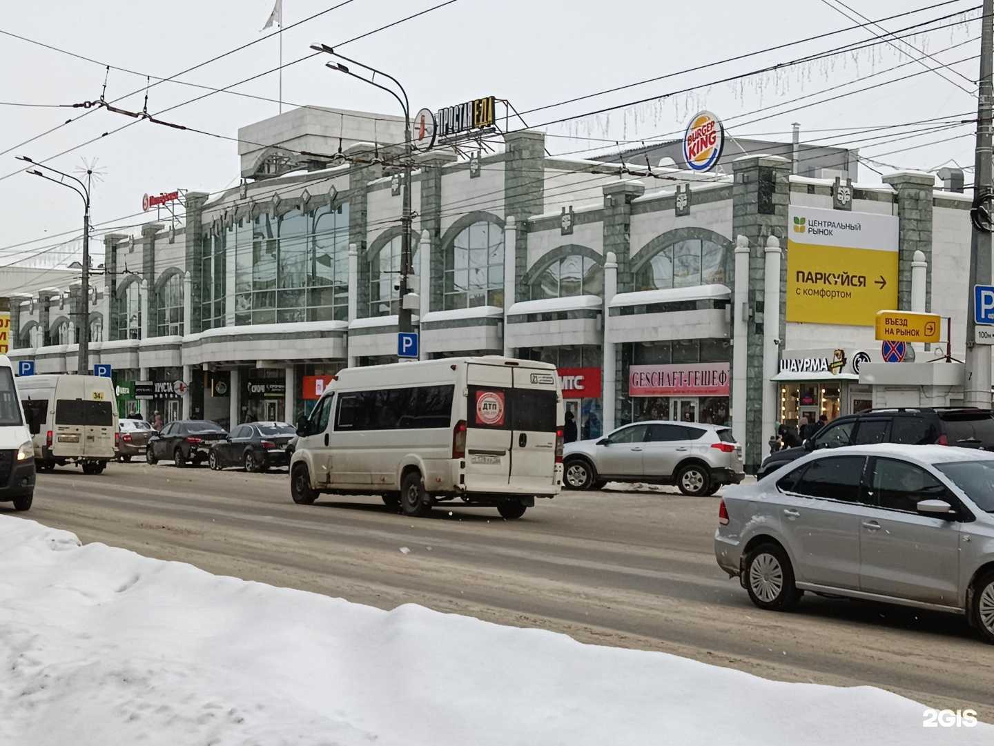 Отзывы на компанию Кошкин Дом в Йошкар-Оле c фото