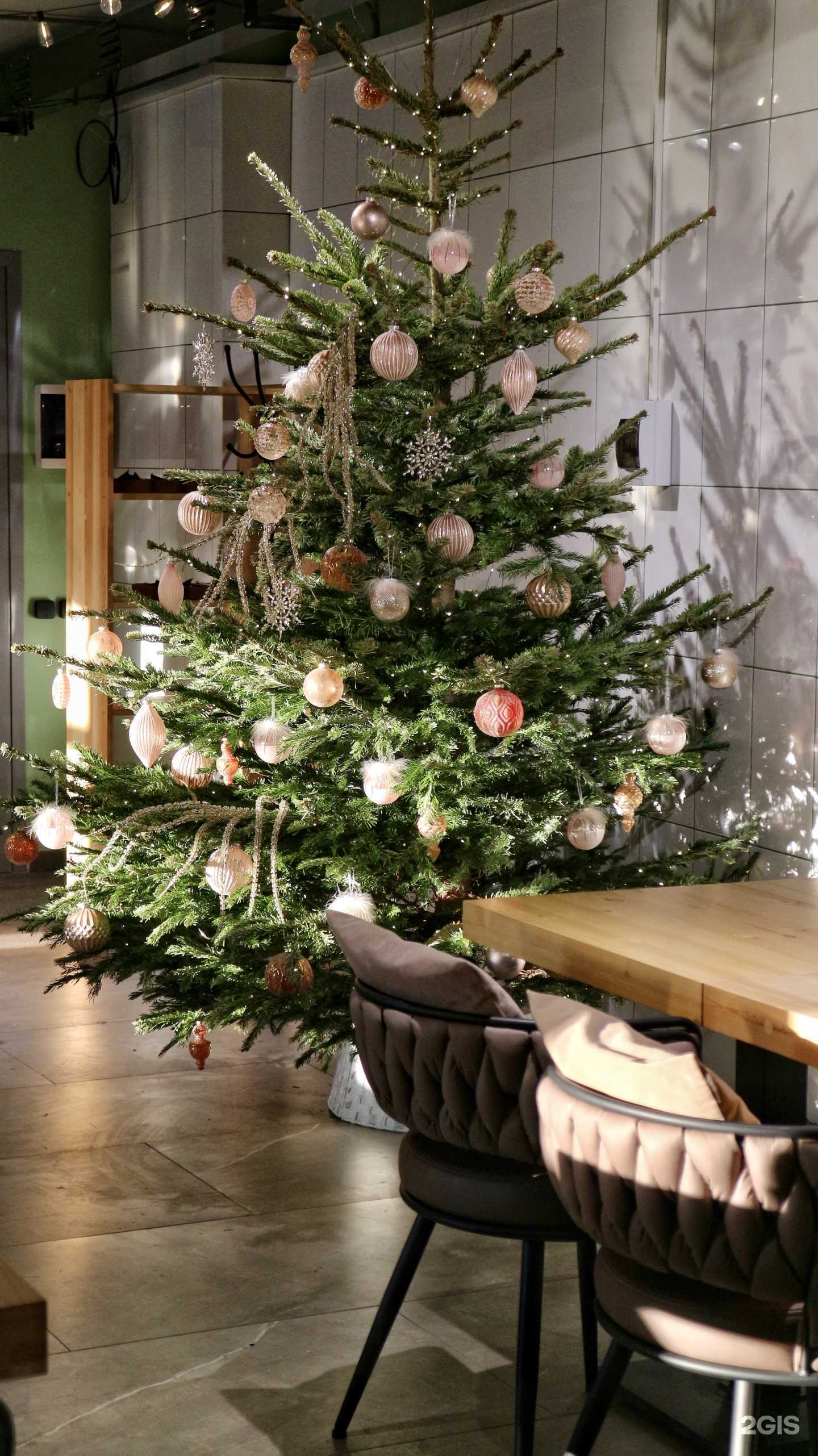 Отзывы на компанию Бистро в г. Чита c фото