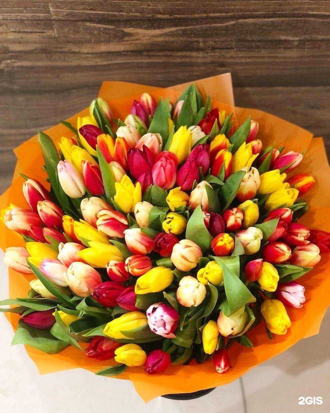 Отзывы на компанию Happy Pion в Люберцах c фото