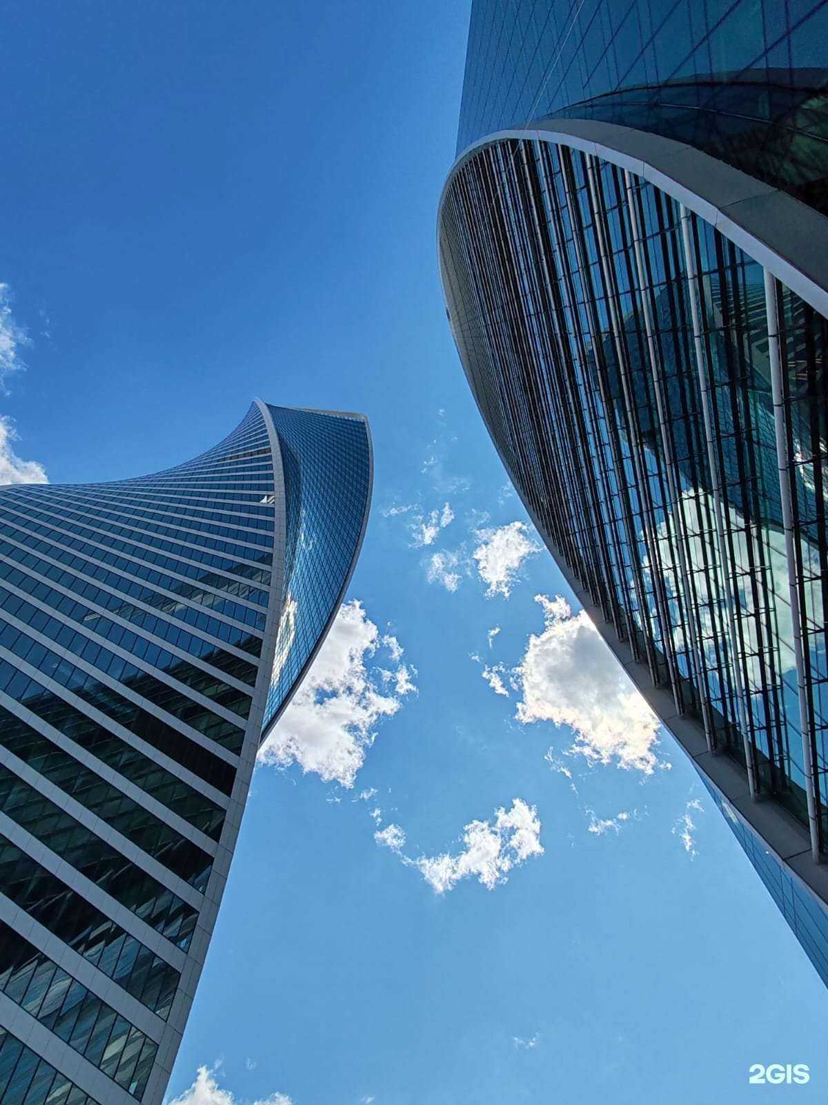 Отзывы на компанию Манты в Новосибирске c фото