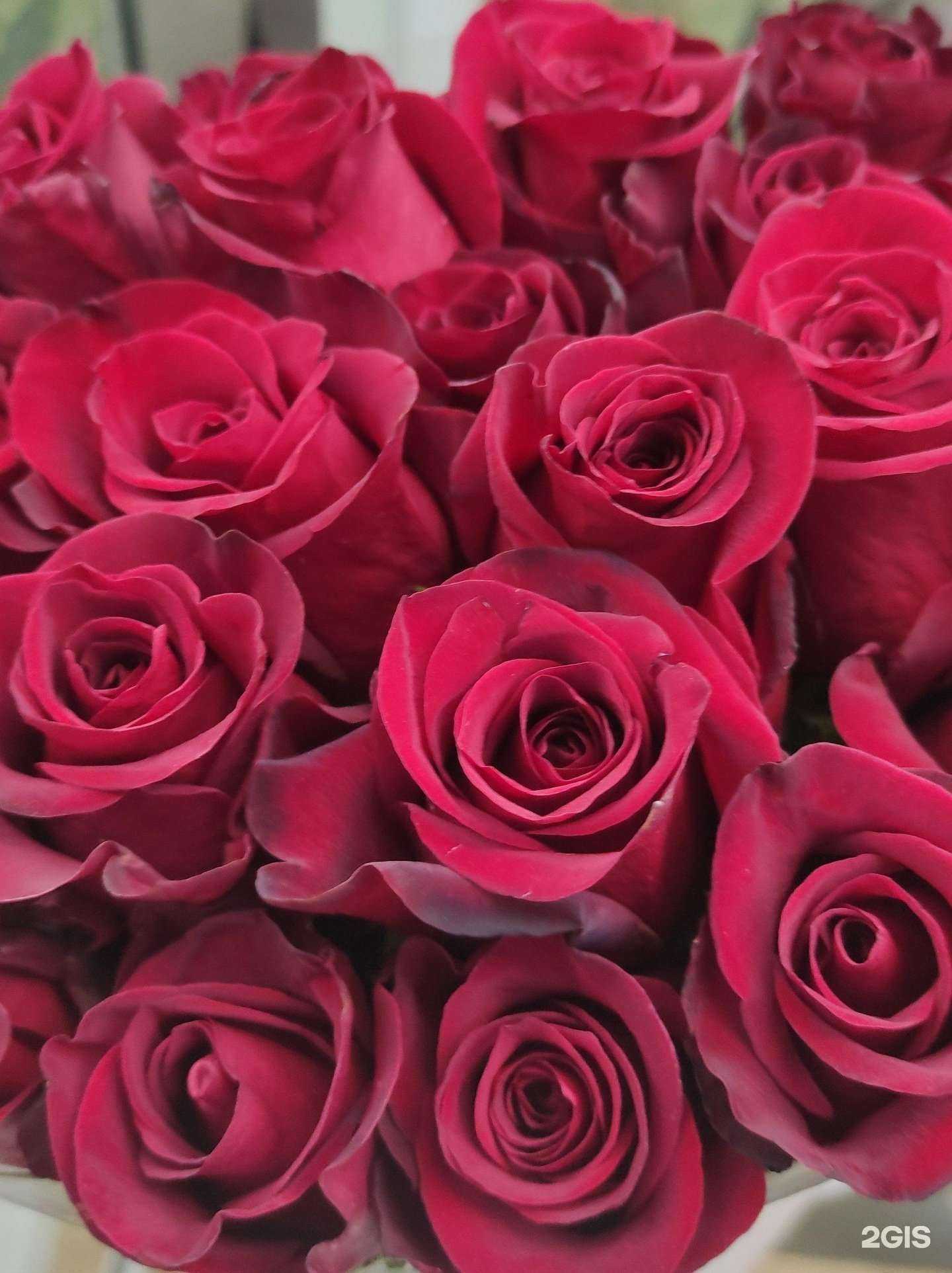 Отзывы на компанию Fresh flowers в Химках c фото
