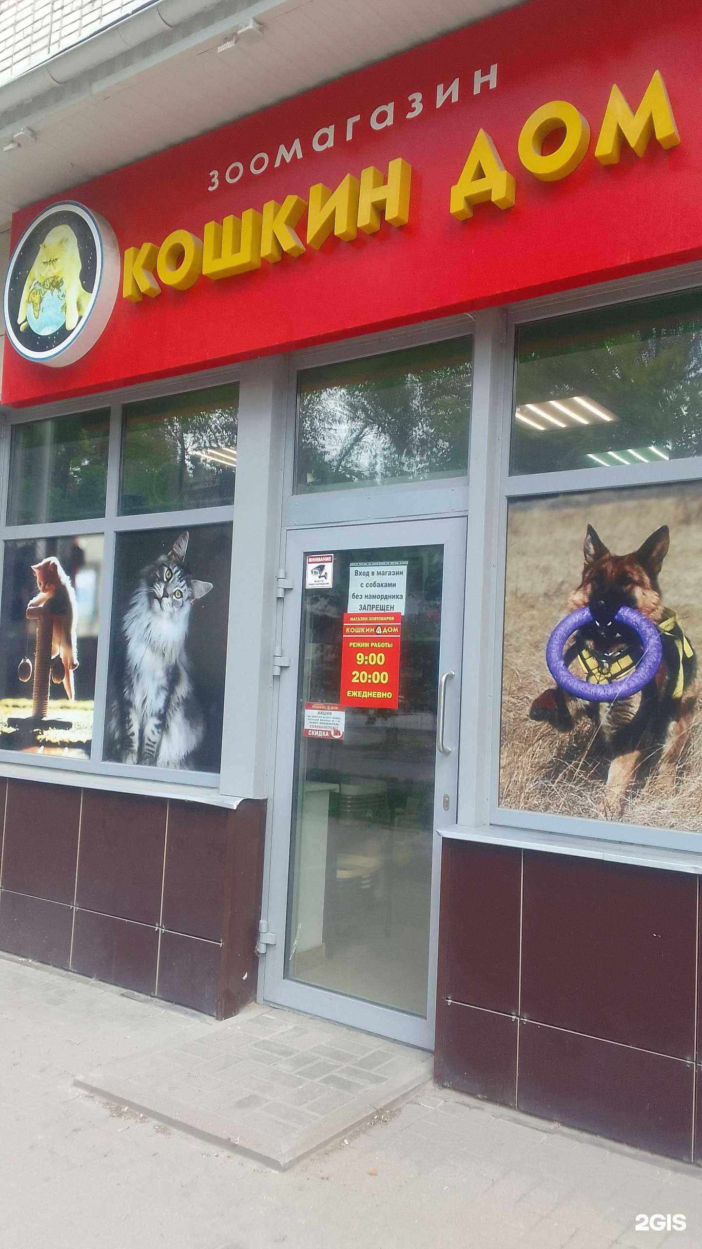 Отзывы на компанию Кошкин дом в г. Брянск c фото