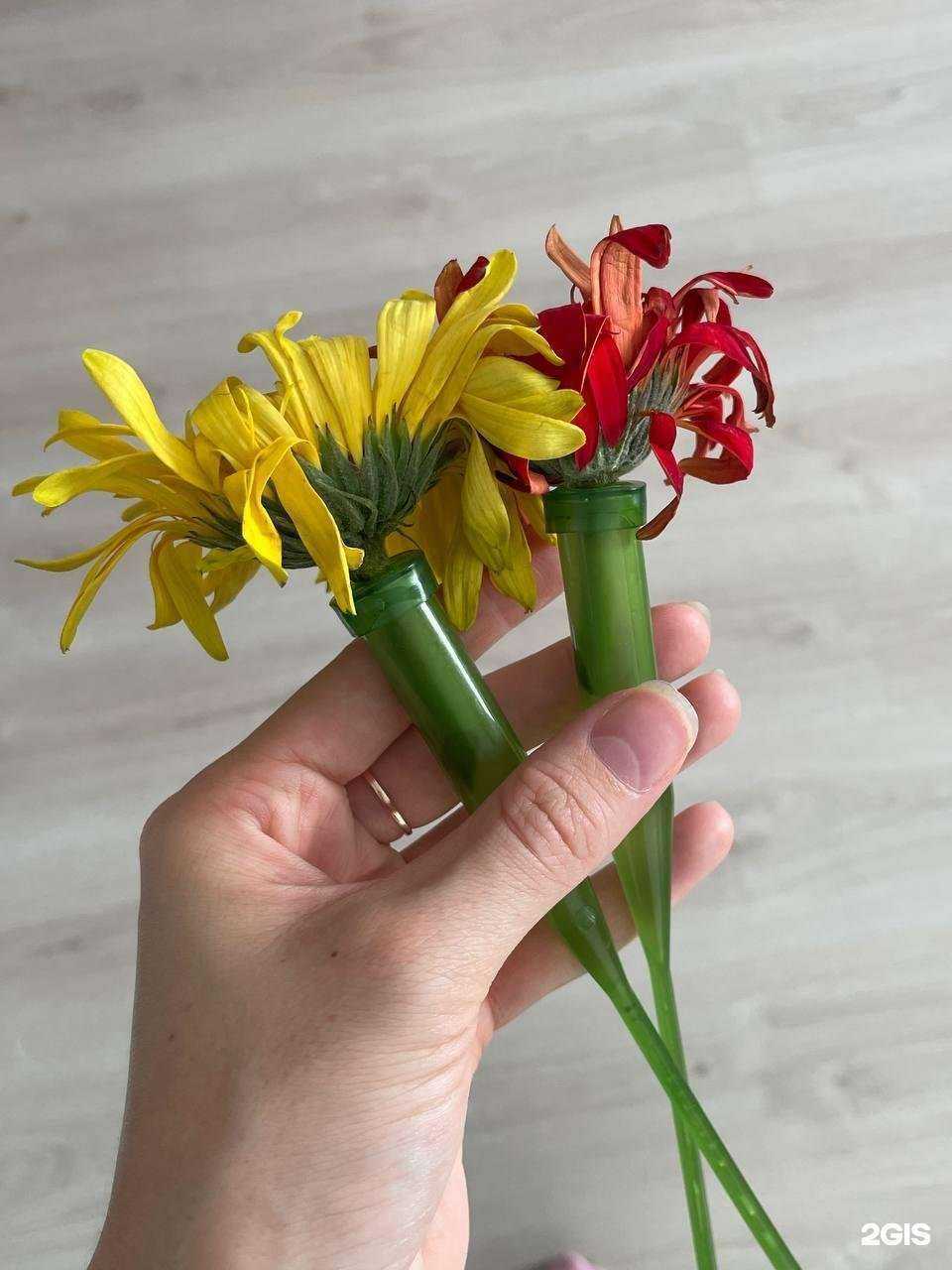 Отзывы на компанию Магазин цветов в Екатеринбурге c фото