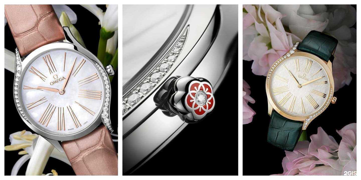 Отзывы на компанию Новелла в Пензе c фото