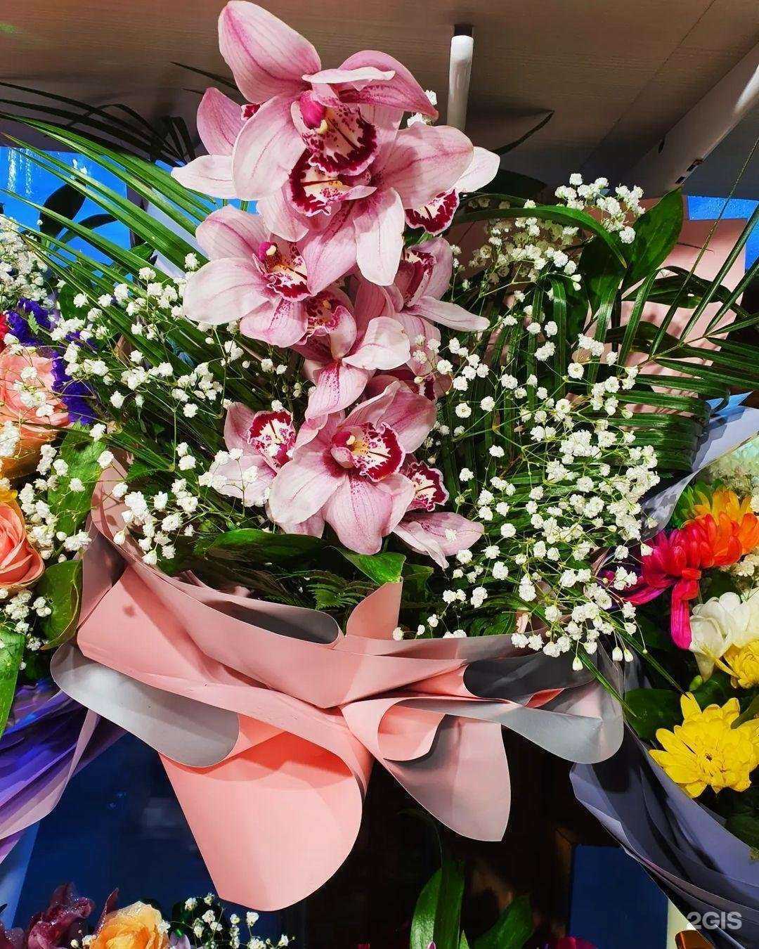 Отзывы на компанию Gold Flora в Петропавловске-Камчатском c фото