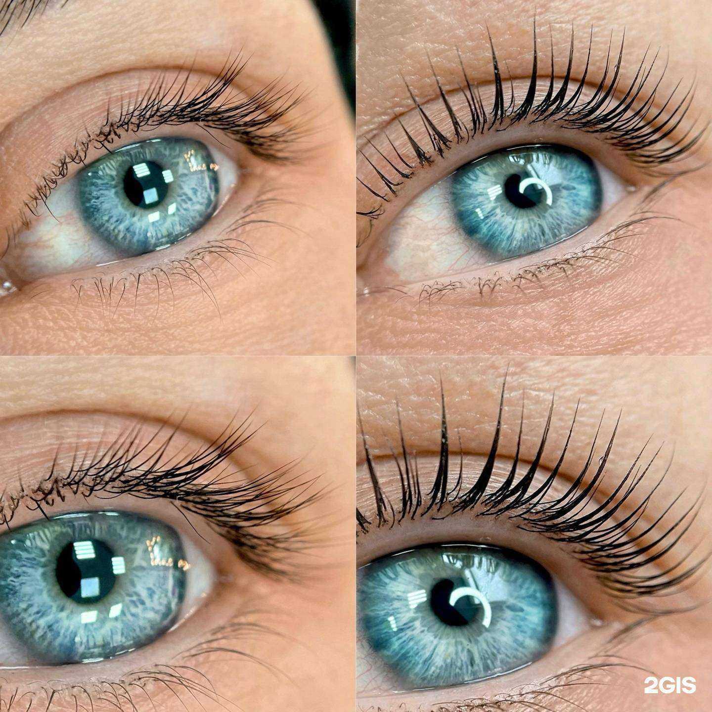 Отзывы на компанию WowBrow в Архангельске c фото