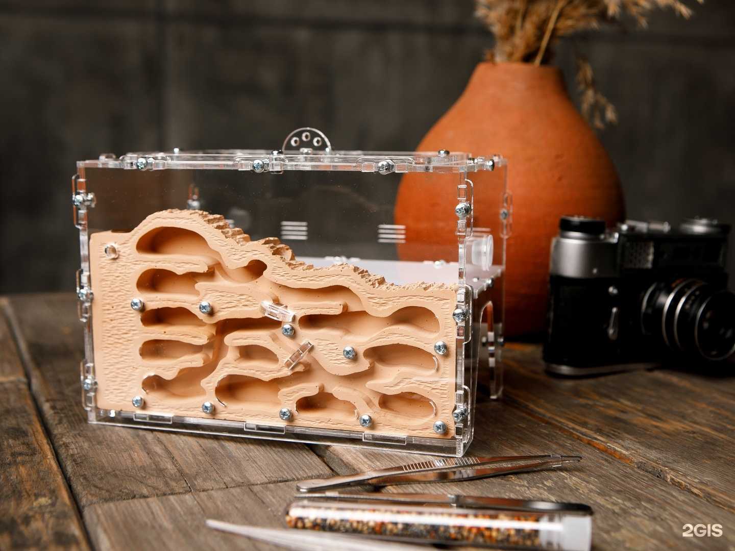 Отзывы на компанию Antsrussia в г. Уфа c фото