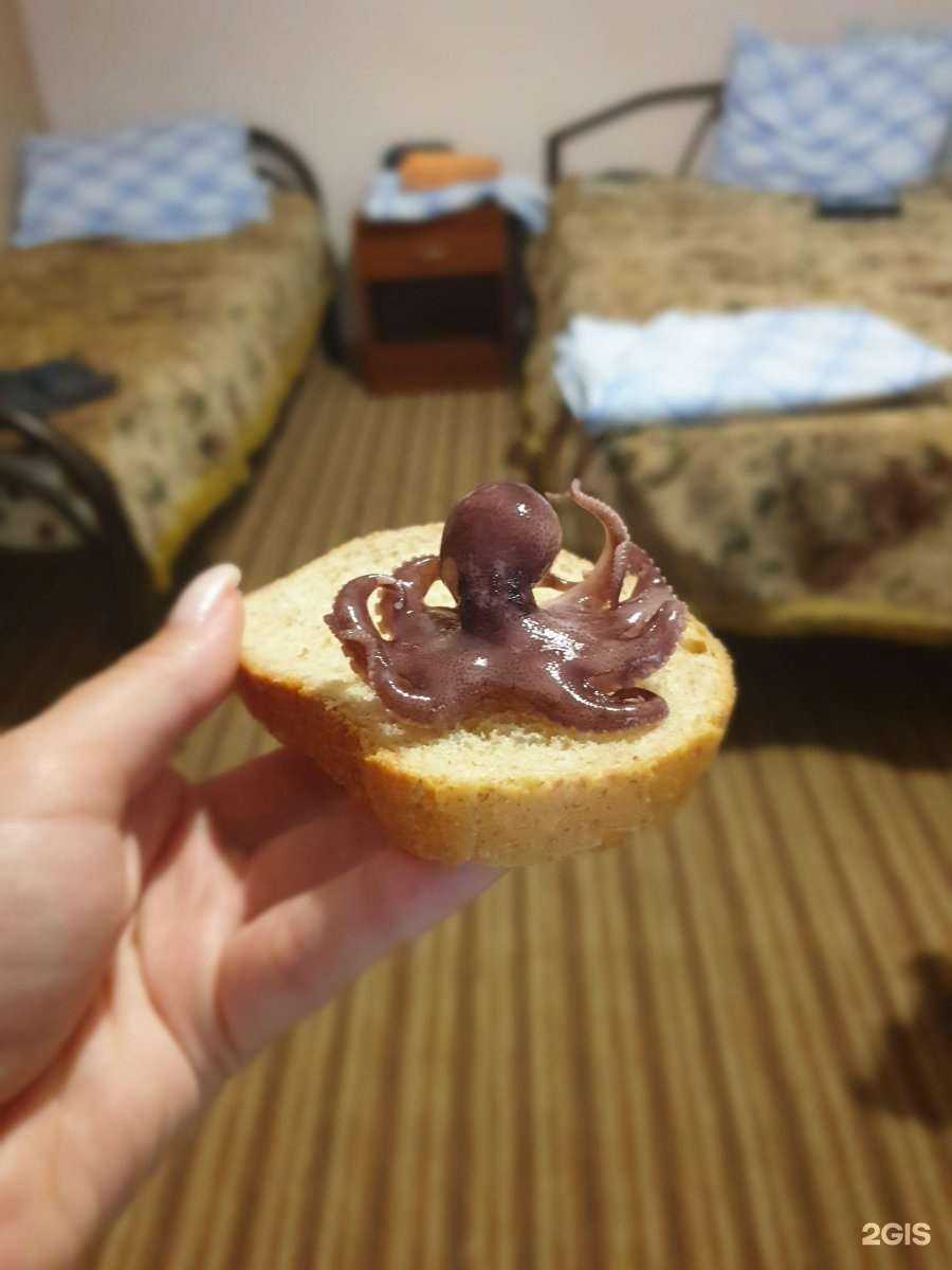 Отзывы на компанию Зеленая в г. Пятигорск c фото