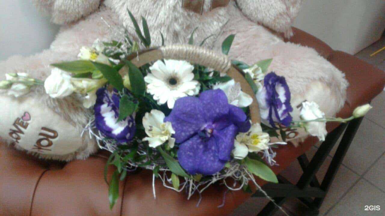 Отзывы на компанию Дверь в лето в г. Обнинск c фото