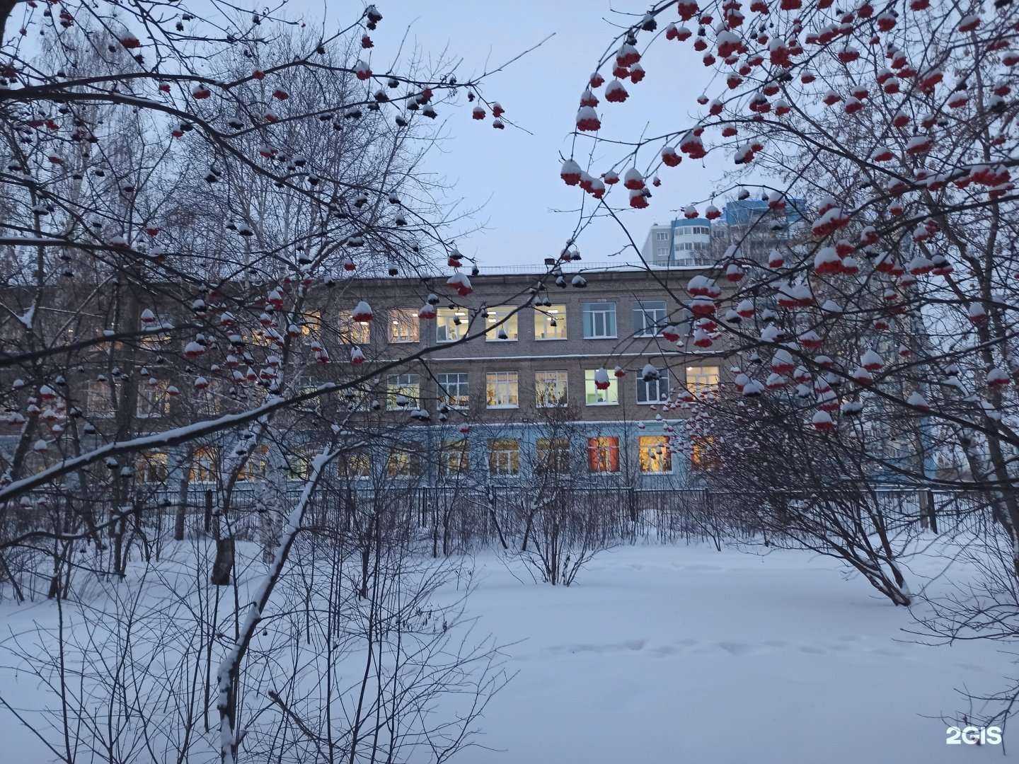 Отзывы на компанию Гимназия №8 в г. Новосибирск c фото