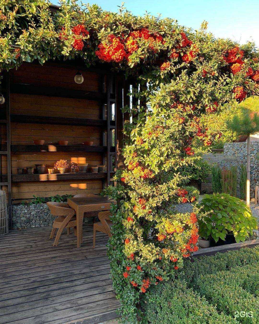 Отзывы на компанию Крокус в Майкопе c фото