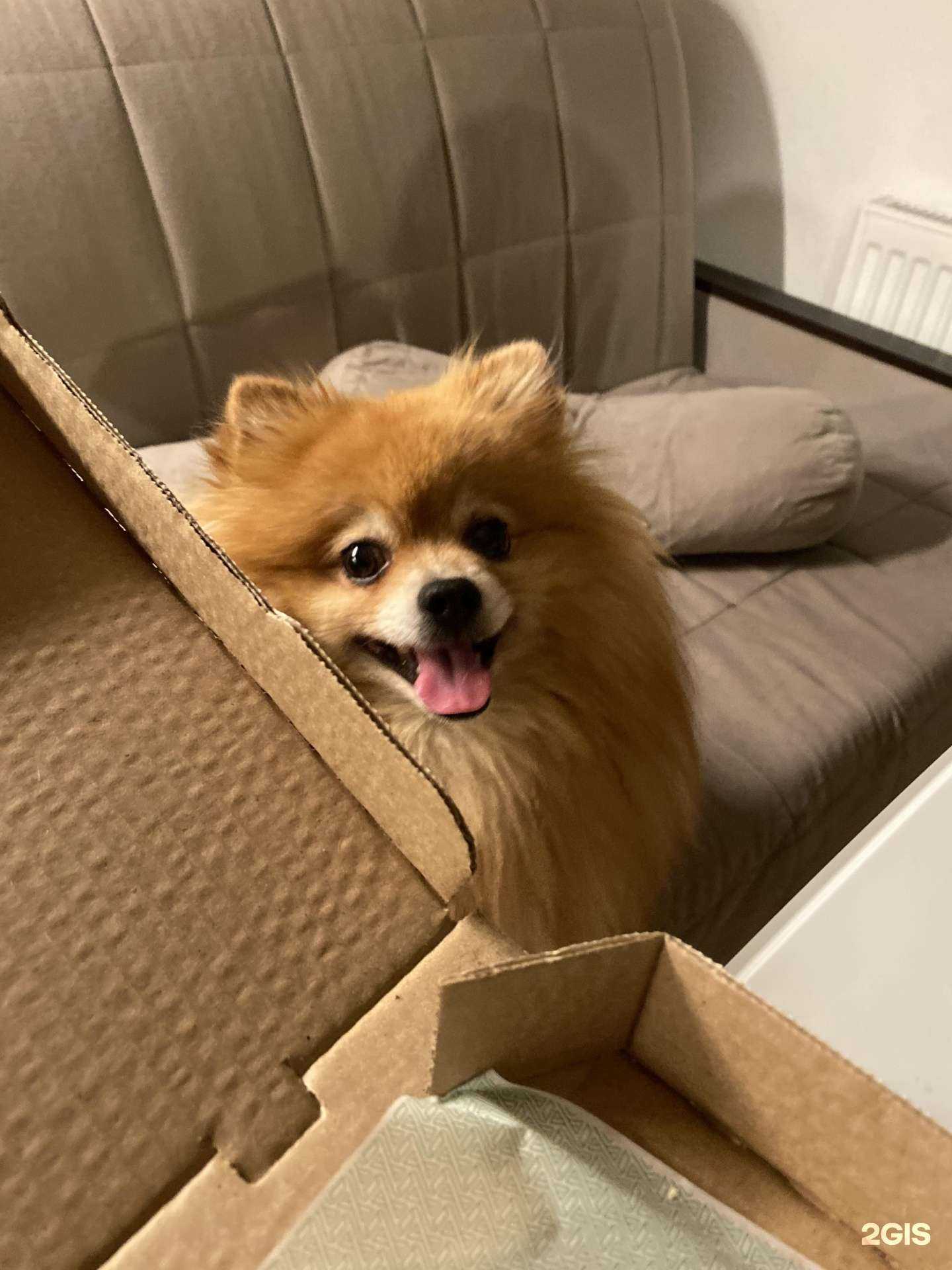 Отзывы на компанию Эфа в г. Екатеринбург c фото