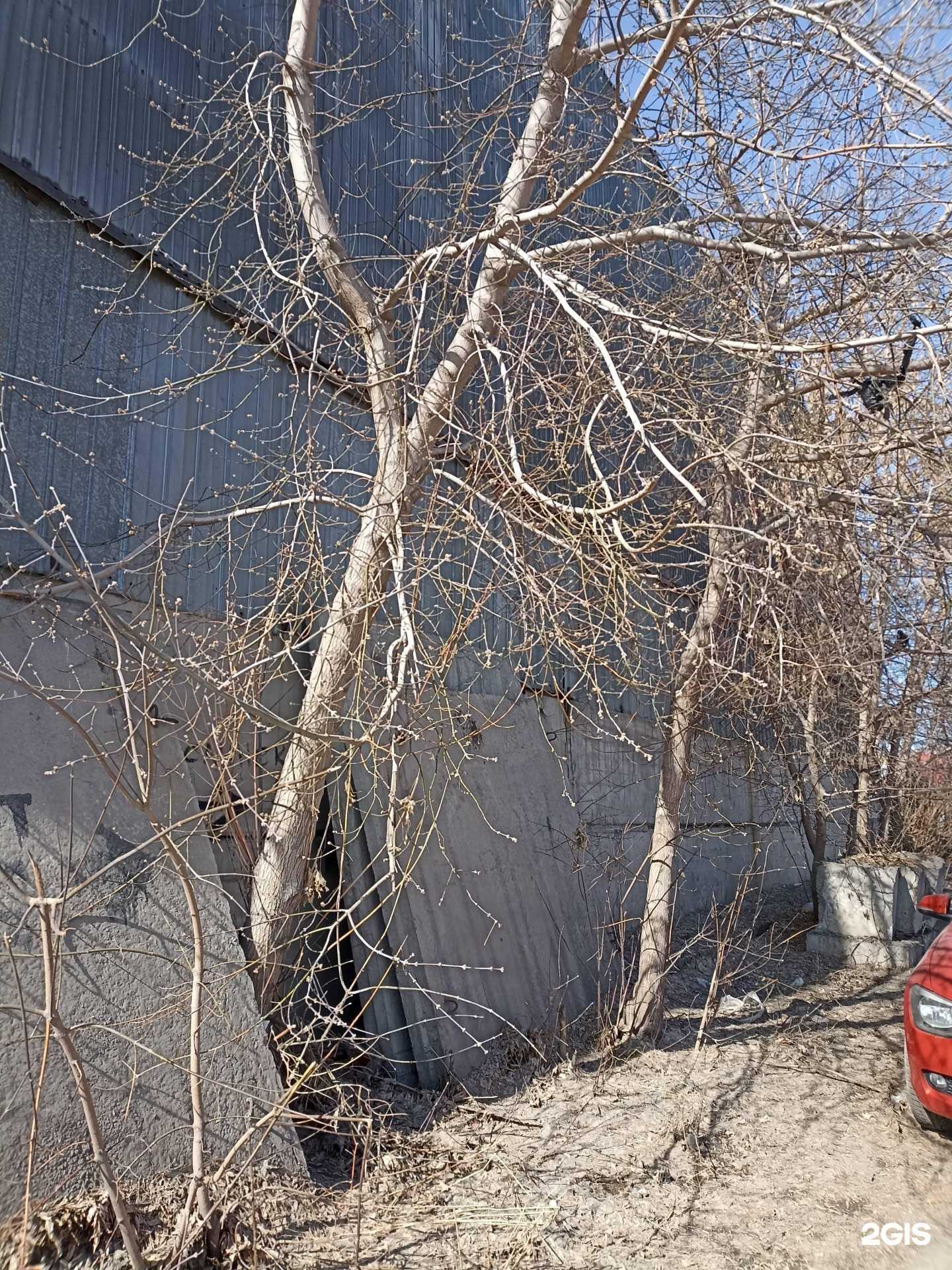 Отзывы на компанию Энниомоторс в г. Челябинск c фото