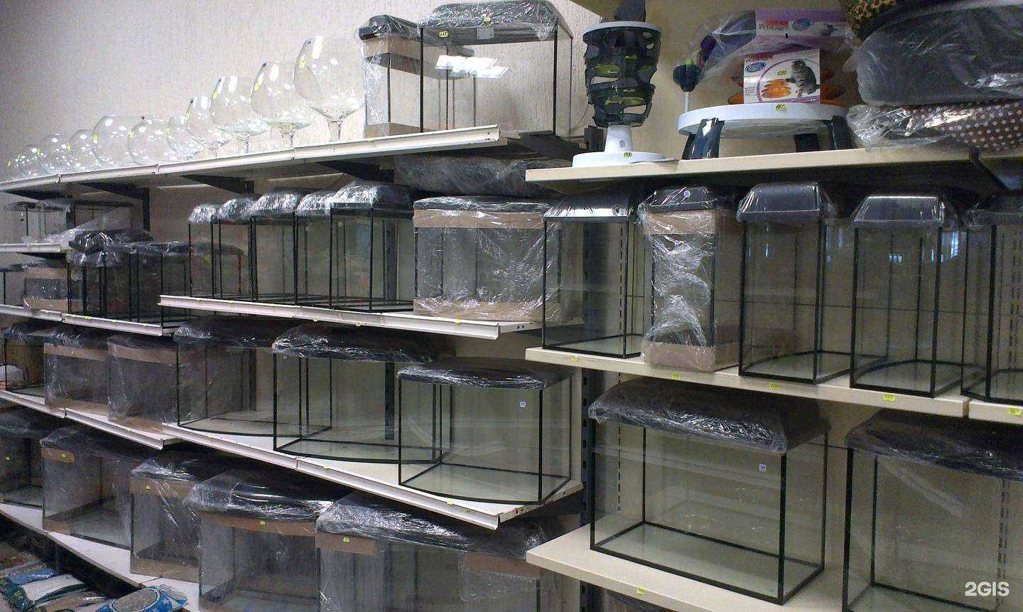 Отзывы на компанию ЗооСтиль в г. Саратов c фото