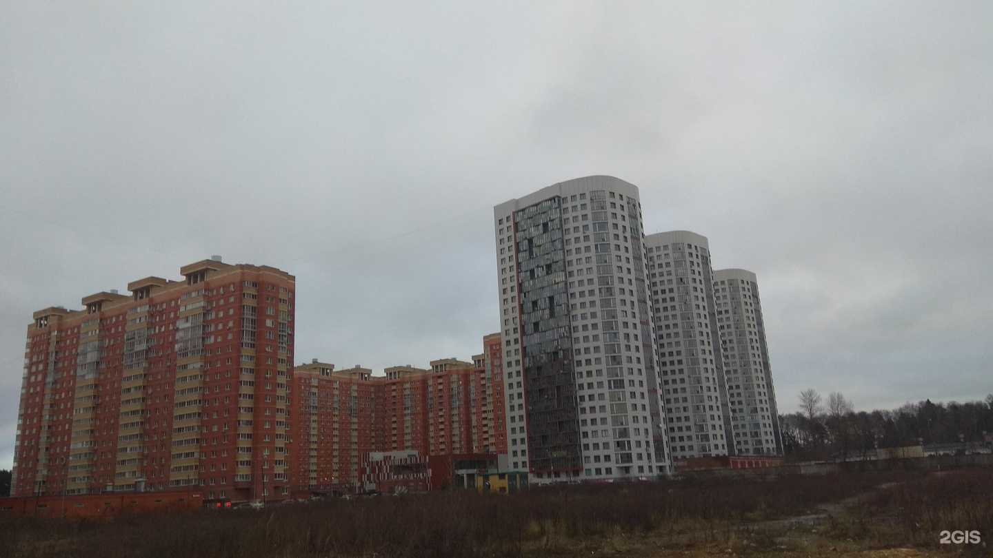 Отзывы на компанию Диана в Балашихе c фото - фотография 2 из 2