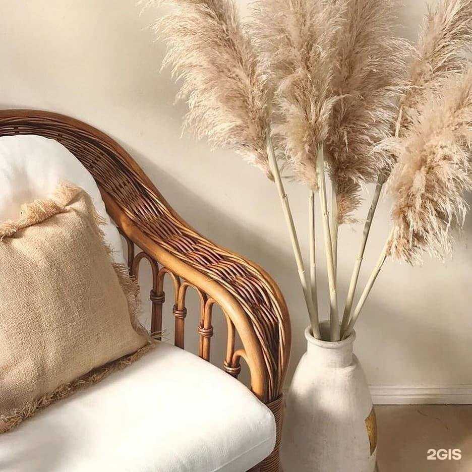 Отзывы на компанию gamma D`oro в Мурманске c фото