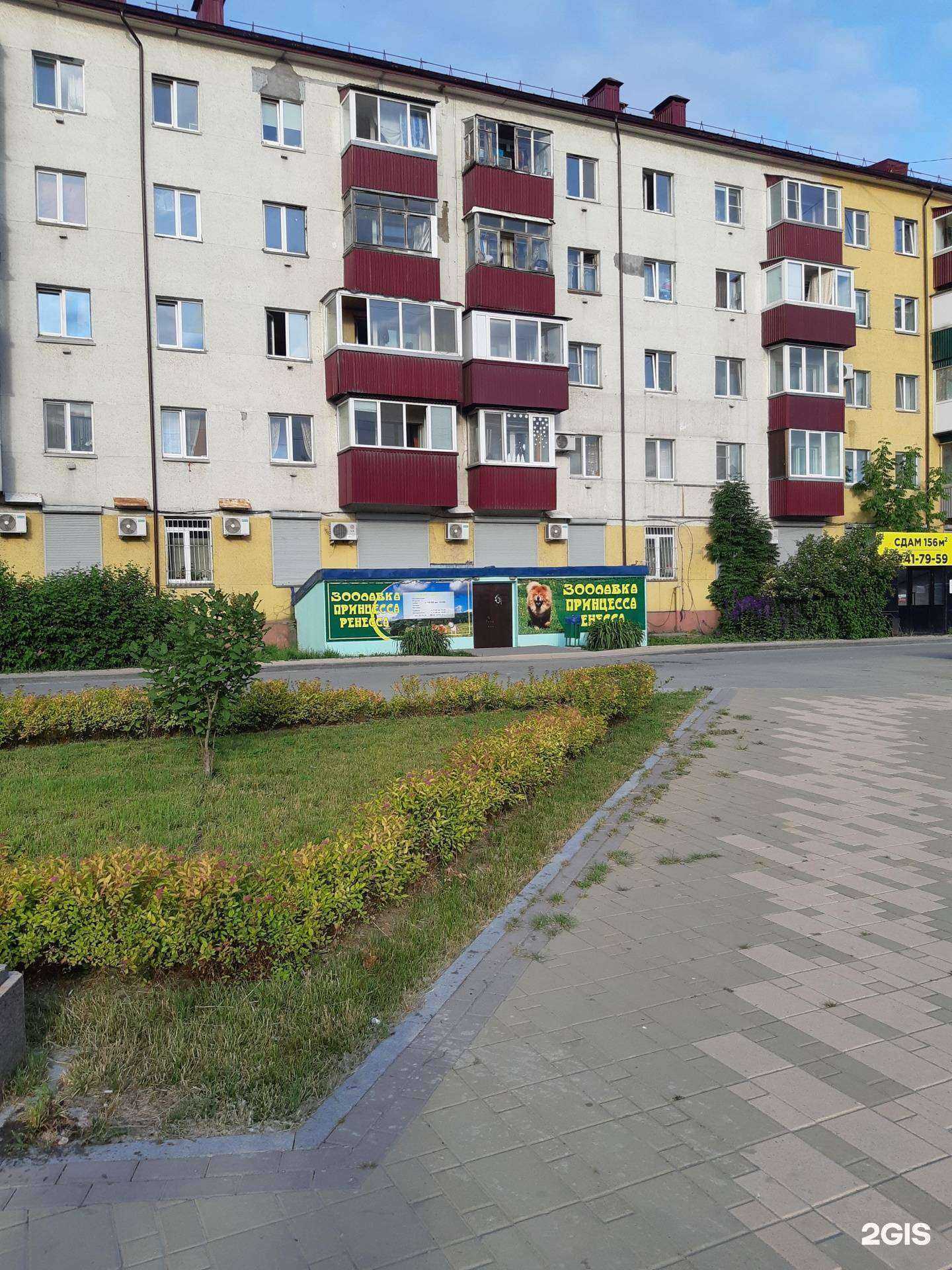 Отзывы на компанию Принцесса Ренесса в г. Южно-Сахалинск c фото