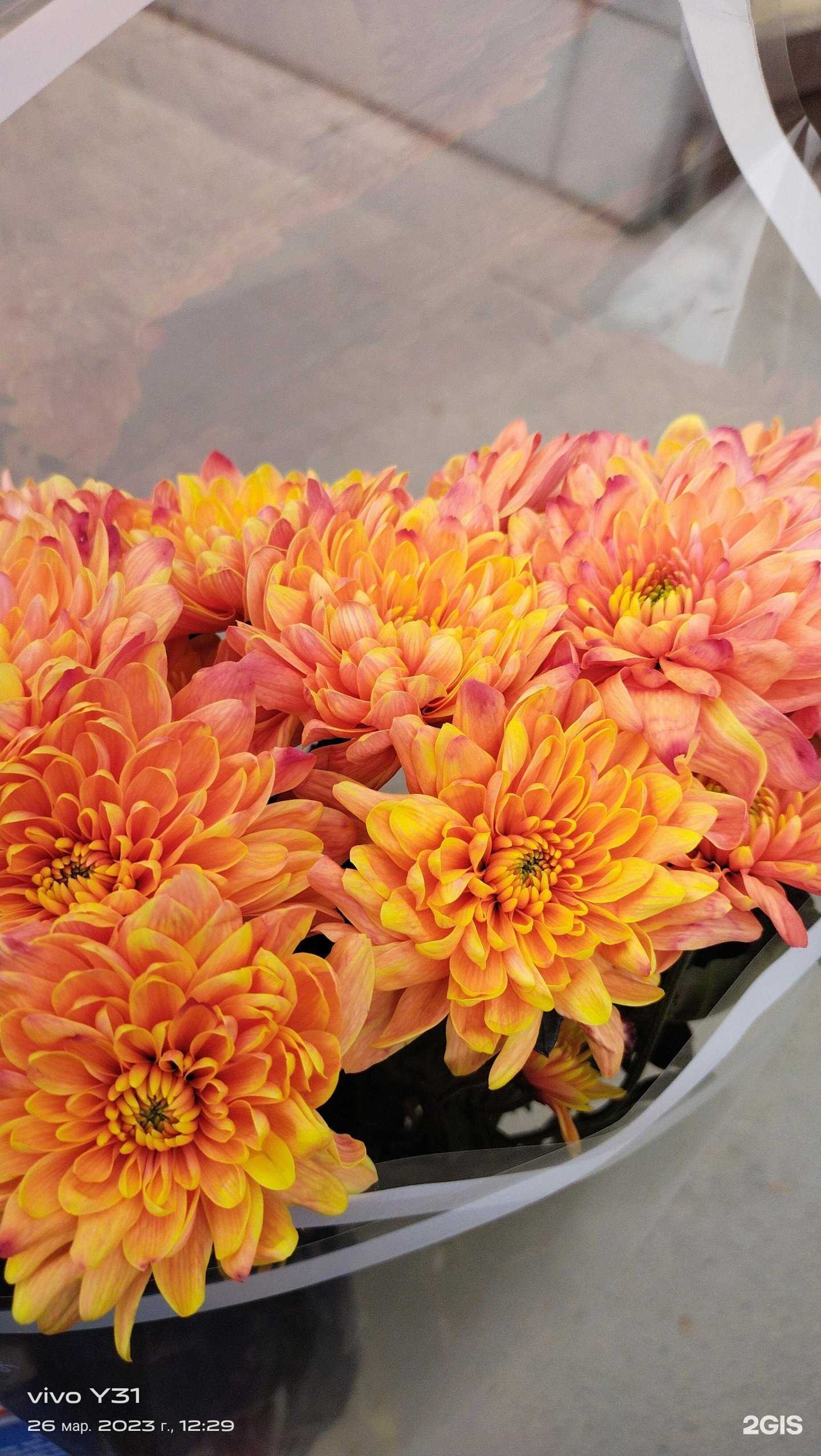 Отзывы на компанию На Марийской в Волгограде c фото