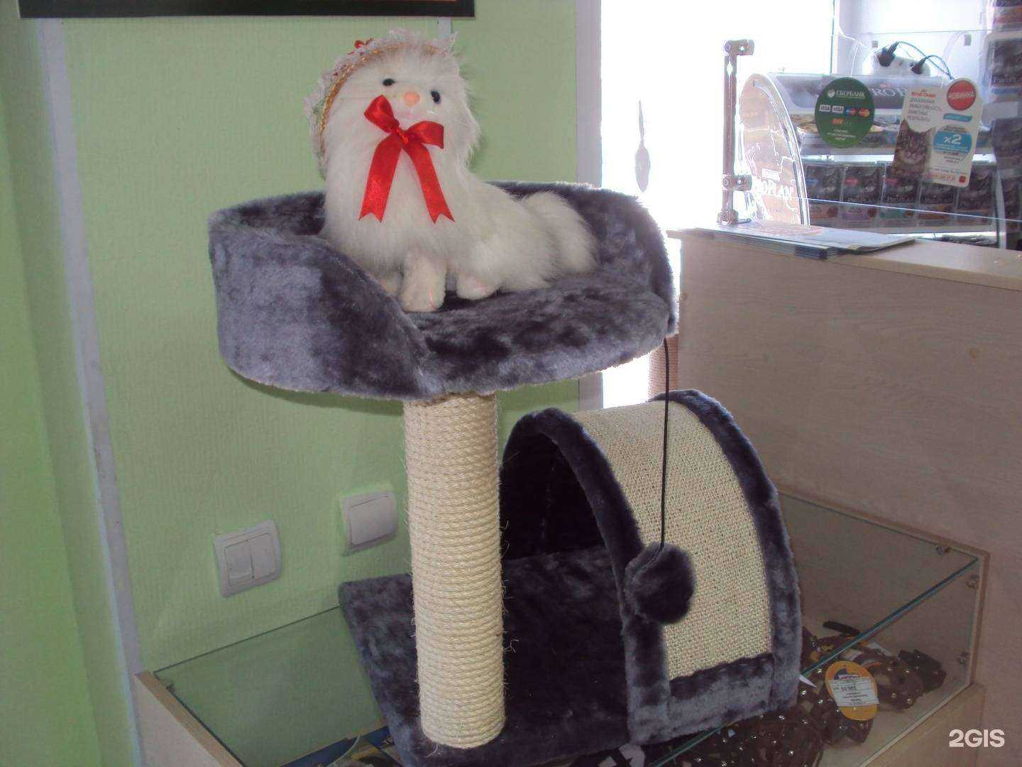 Отзывы на компанию Acari ciar в г. Рузаевка c фото