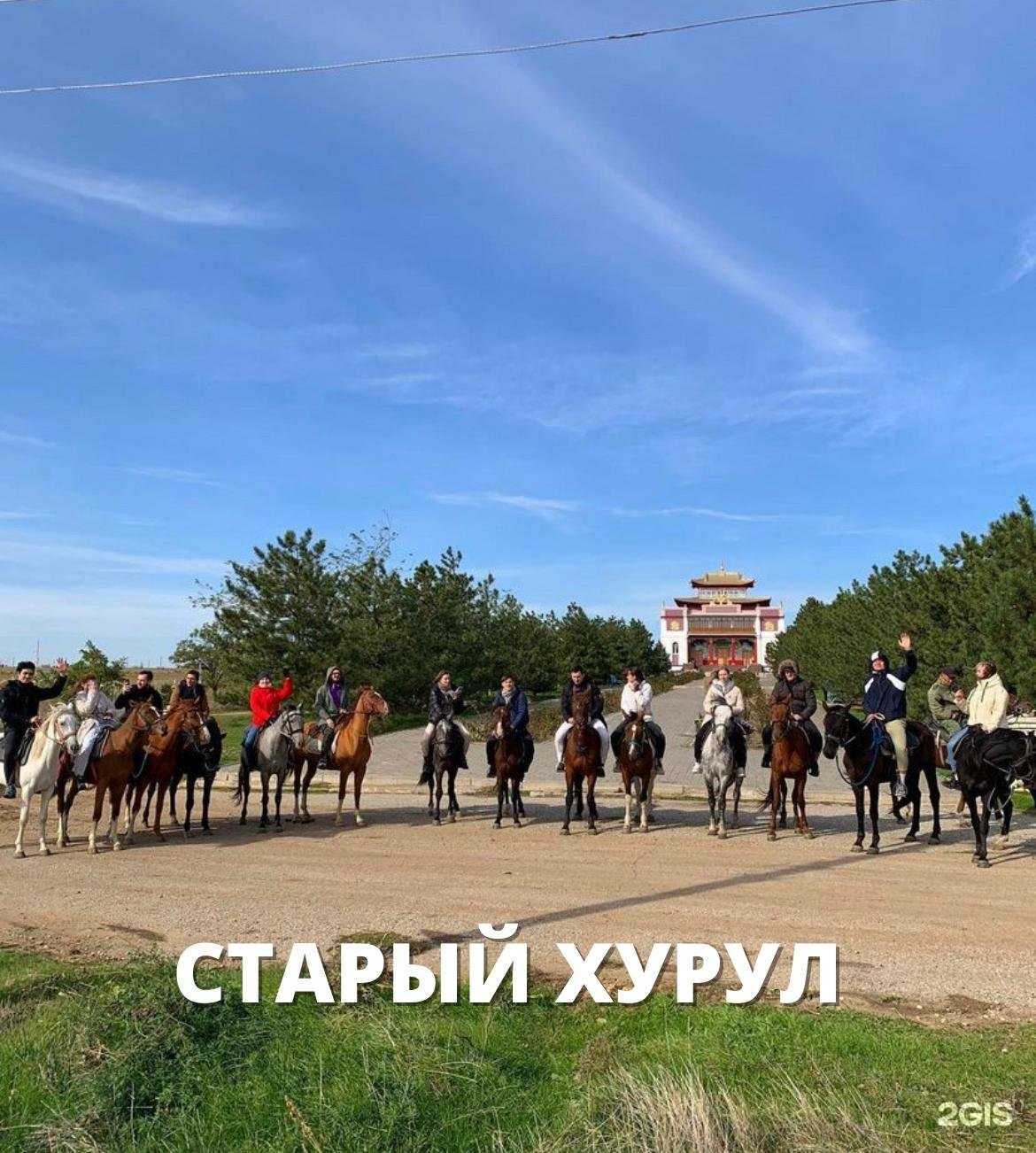 Отзывы на компанию Тотем в г. Элиста c фото