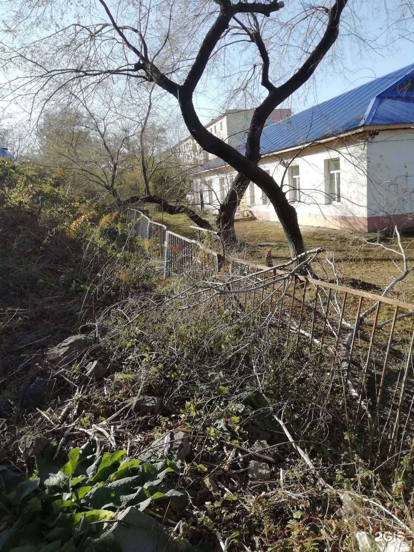 Отзывы на компанию Детский сад №80 в г. Владивосток c фото