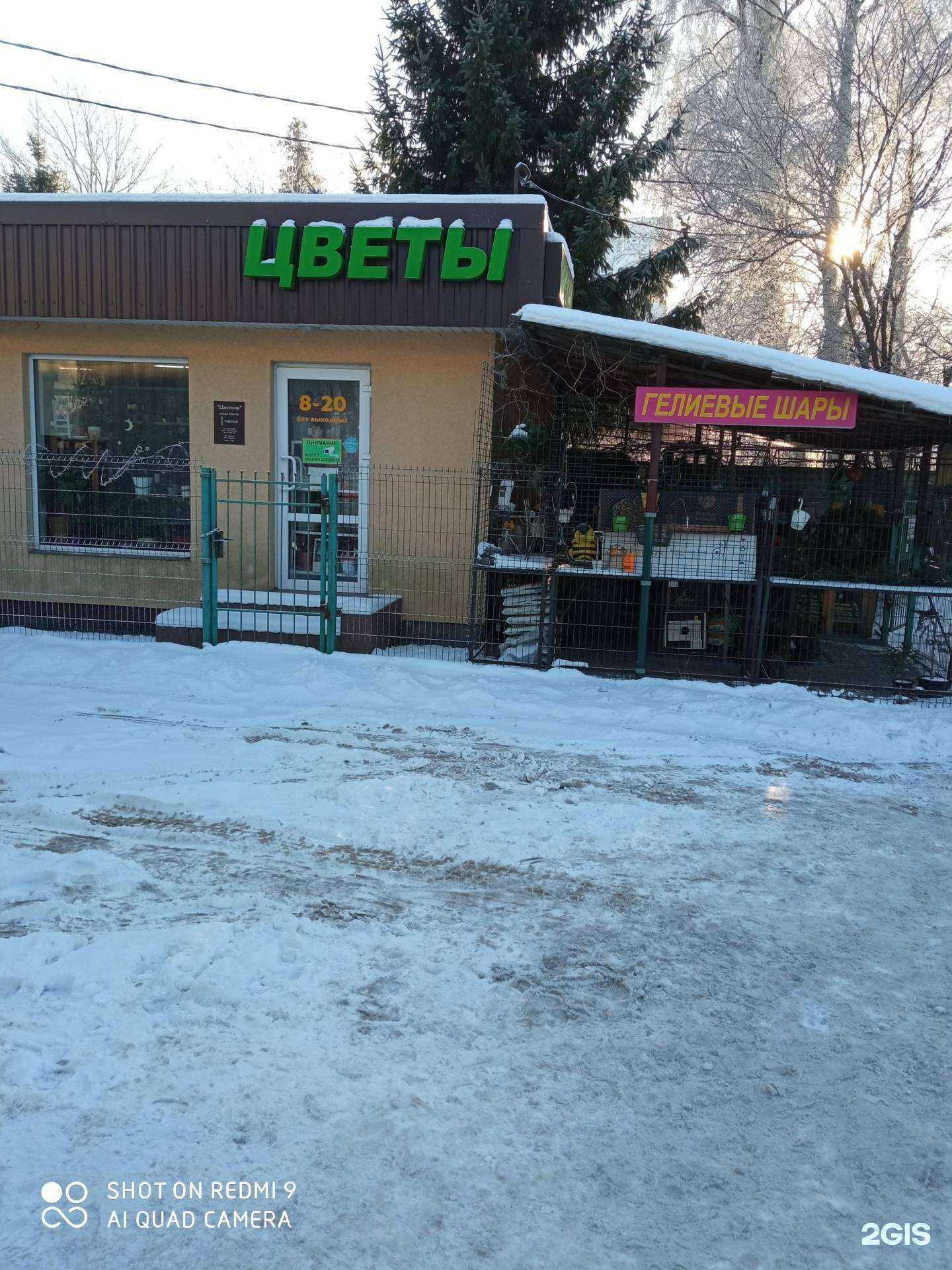 Отзывы на компанию Пчела в Калининграде c фото