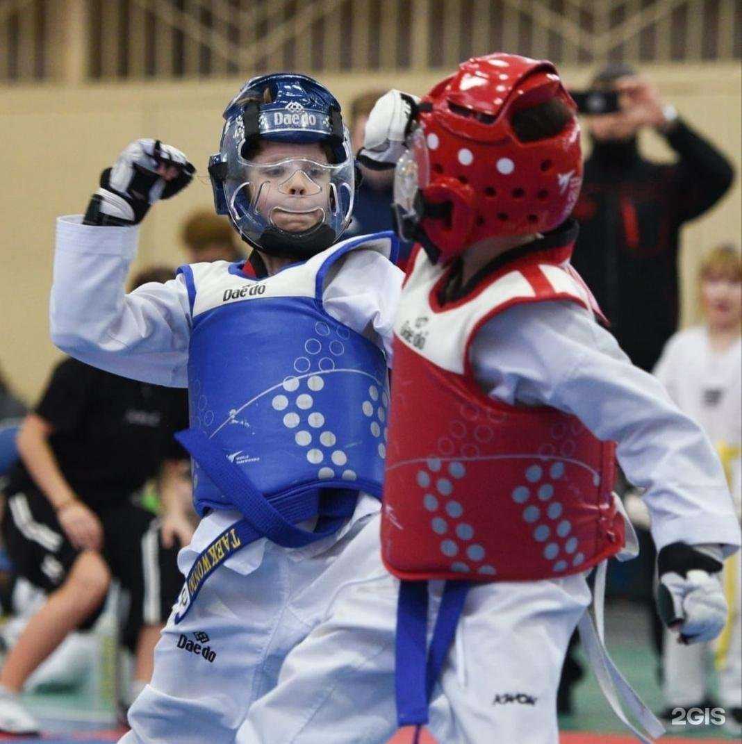 Отзывы на компанию Team-pro.tkd в Казани c фото