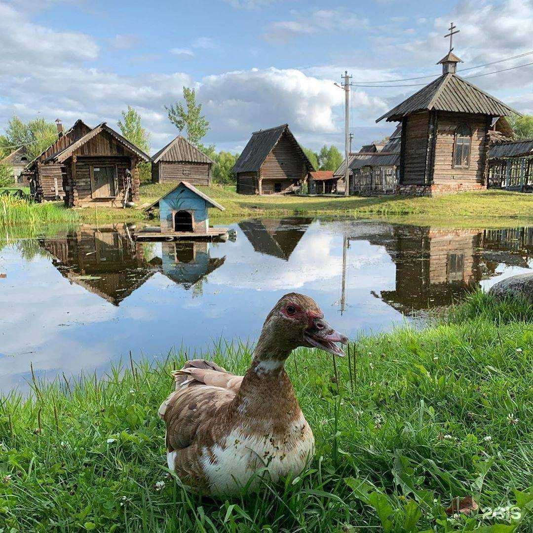 Отзывы на компанию Мышкин двор в г. Мышкин c фото