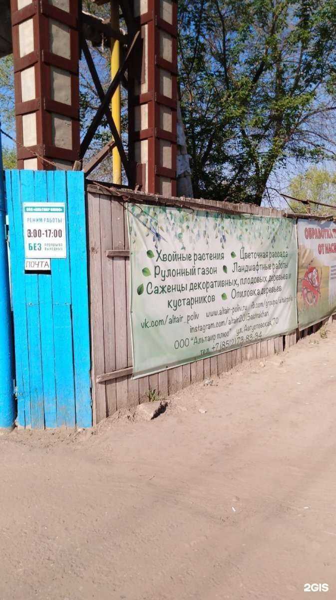 Отзывы на компанию Альтаир плюс в Астрахани c фото