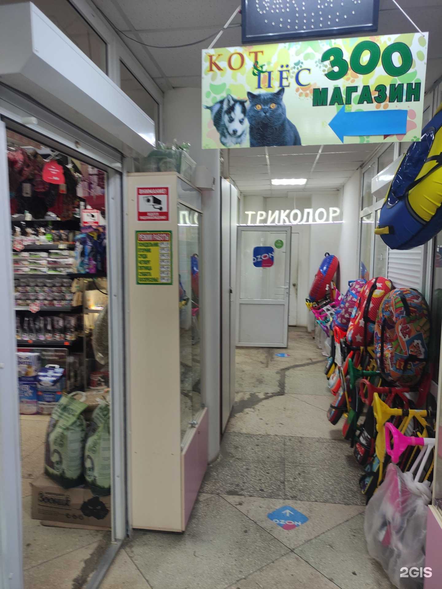 Отзывы на компанию Кот&пёс в Коломне c фото