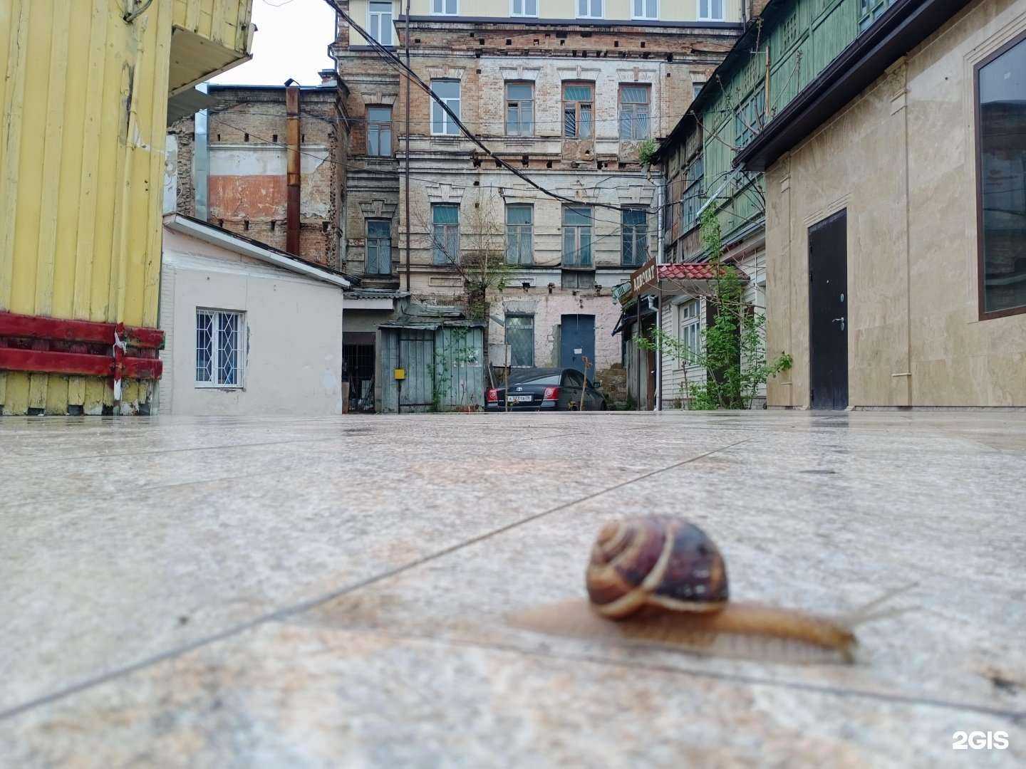 Отзывы на компанию Формула-тур в Кисловодске c фото - фотография 2 из 2