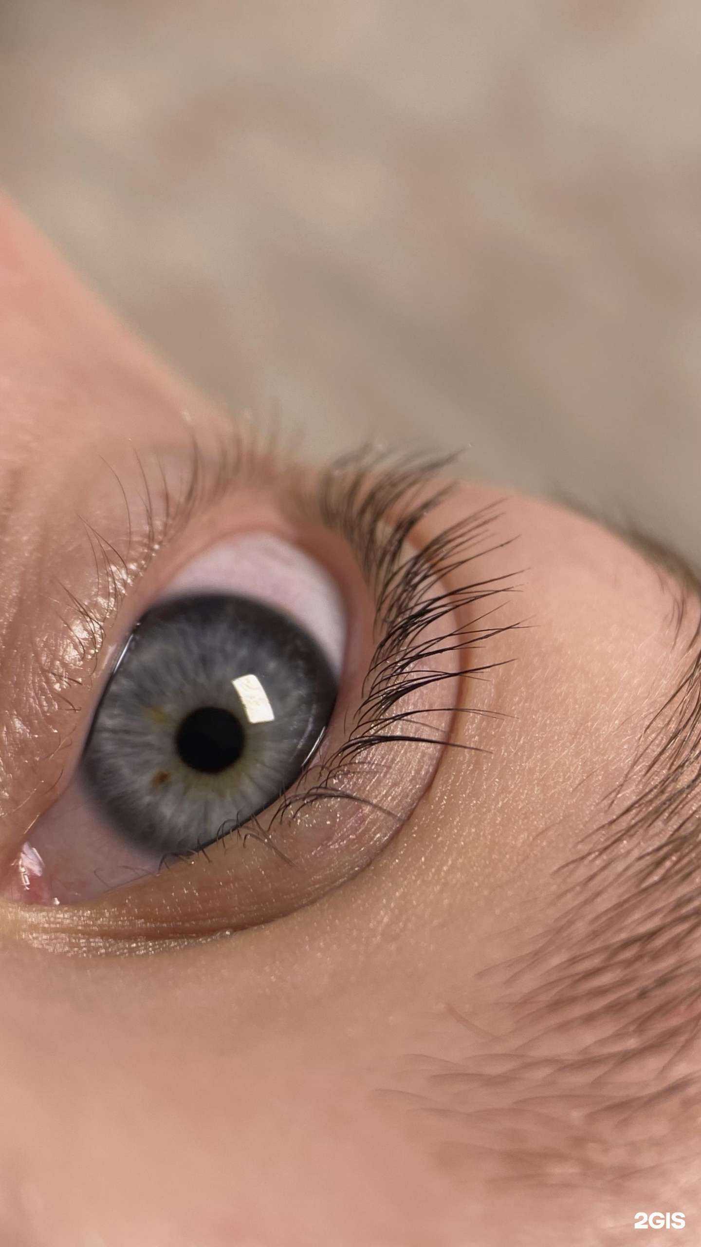 Отзывы на компанию Brows&Lashes Academy в Екатеринбурге c фото