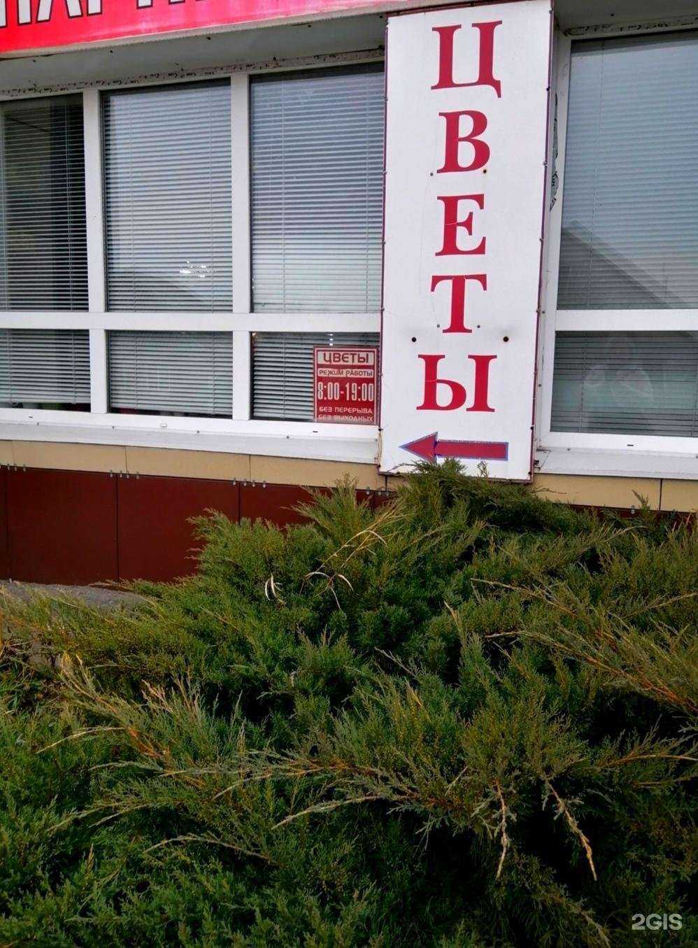 Отзывы на компанию Магазин цветов в г. Шебекино c фото