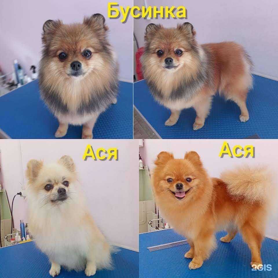 Отзывы на компанию Гламурочка в Северске c фото