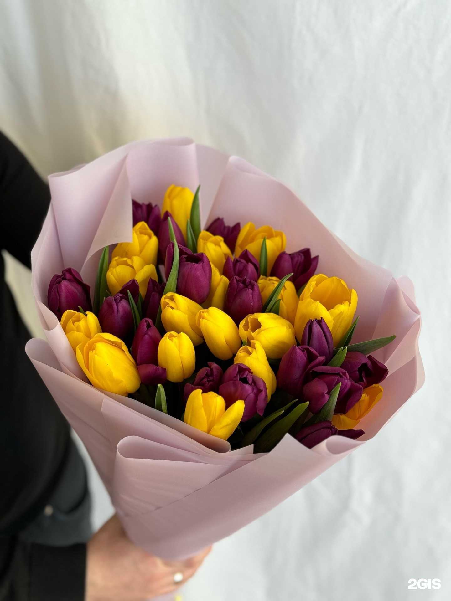 Отзывы на компанию Каталина в г. Саранск c фото