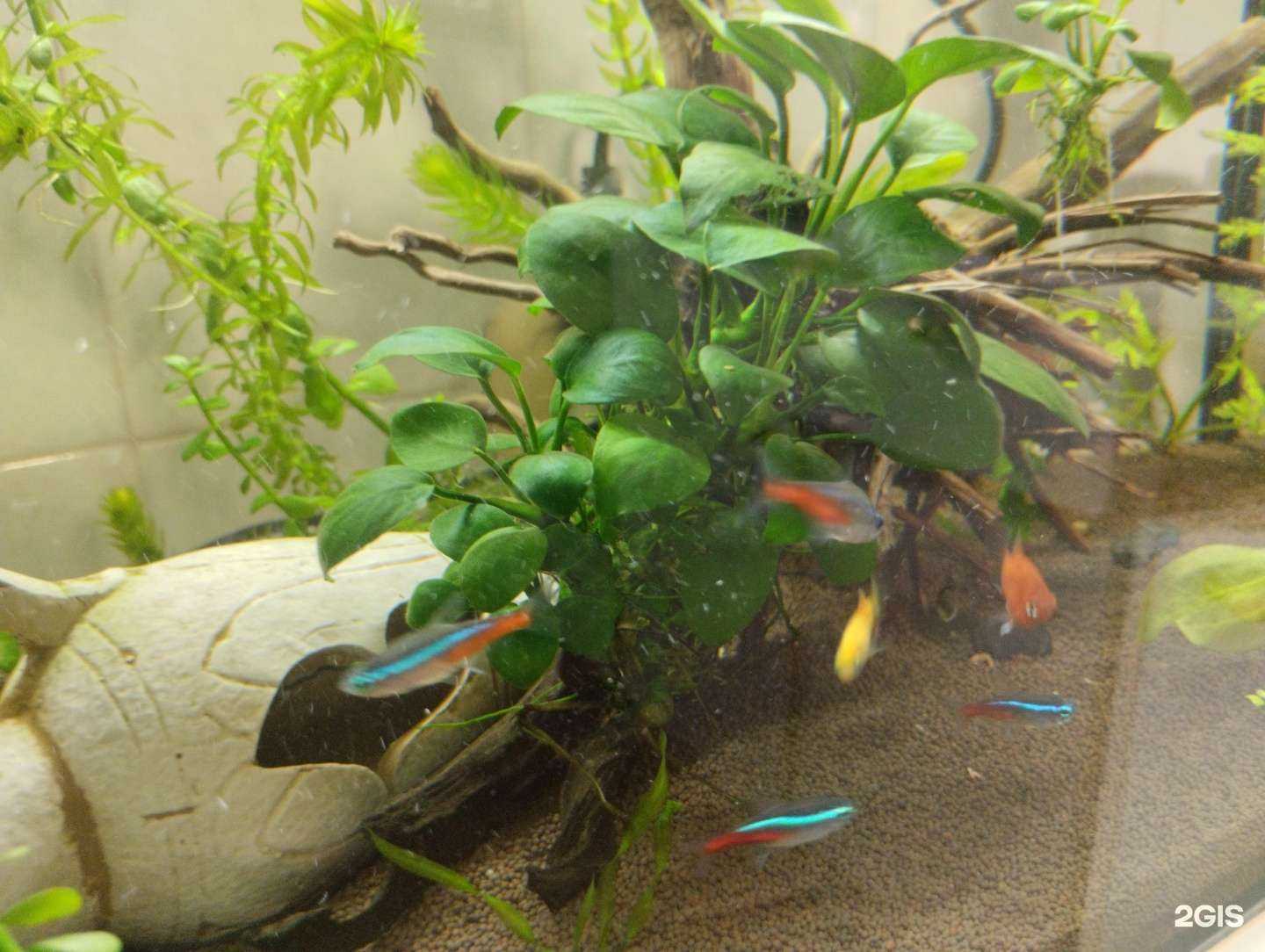 Отзывы на компанию Водный мир в Пятигорске c фото