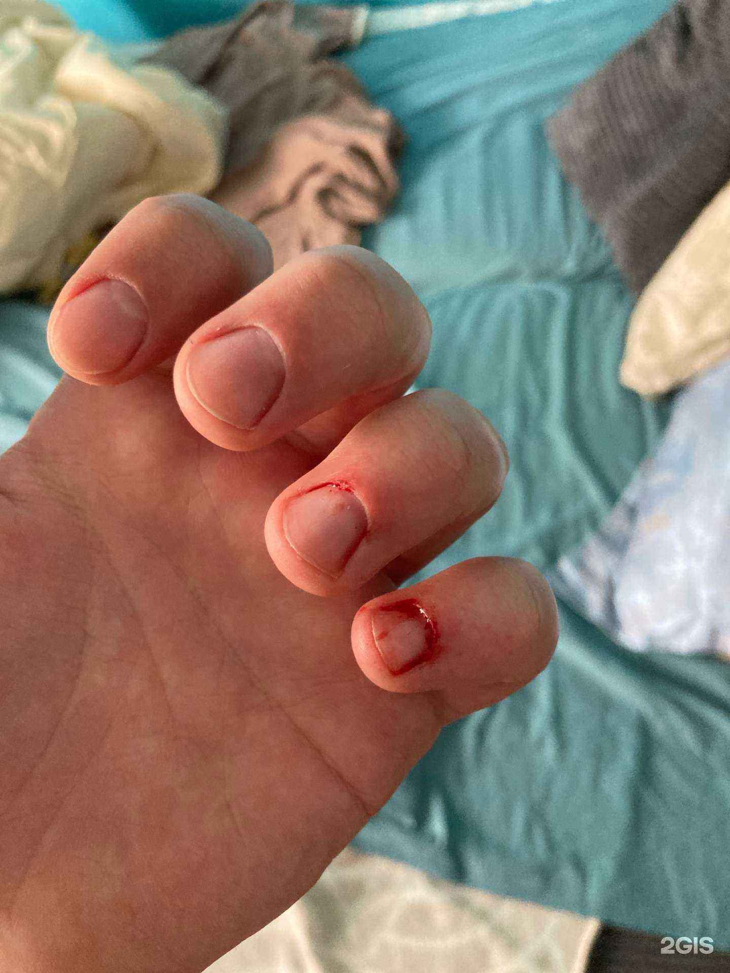 Отзывы на компанию 55 element в г. Котельники c фото