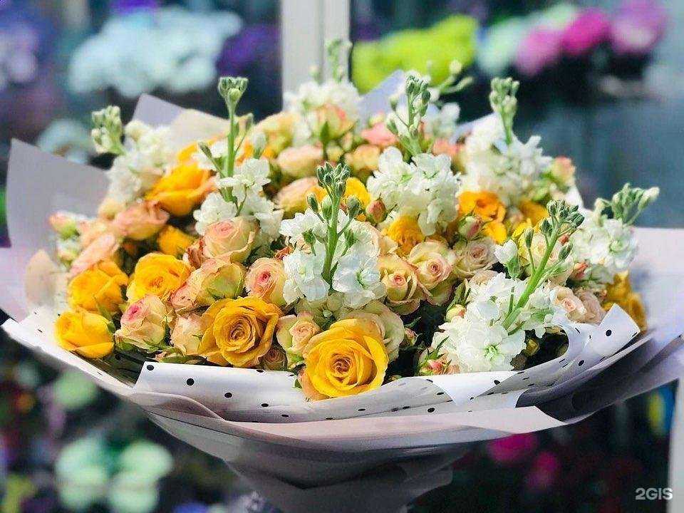 Отзывы на компанию Lili в Брянске c фото