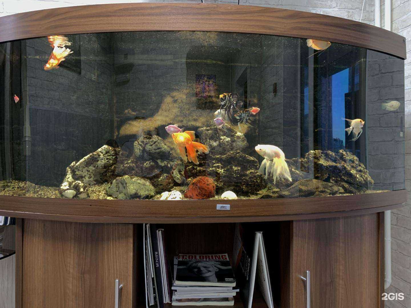 Отзывы на компанию Карина в Ноябрьске c фото